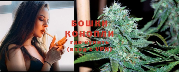 гашик Магадан