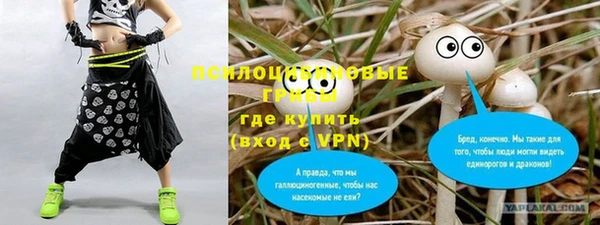 каннабис Майский