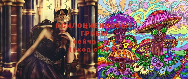 гашик Магадан
