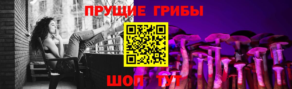 Шали  Псилоцибиновые грибы Psilocybe  Вход с VPN 
